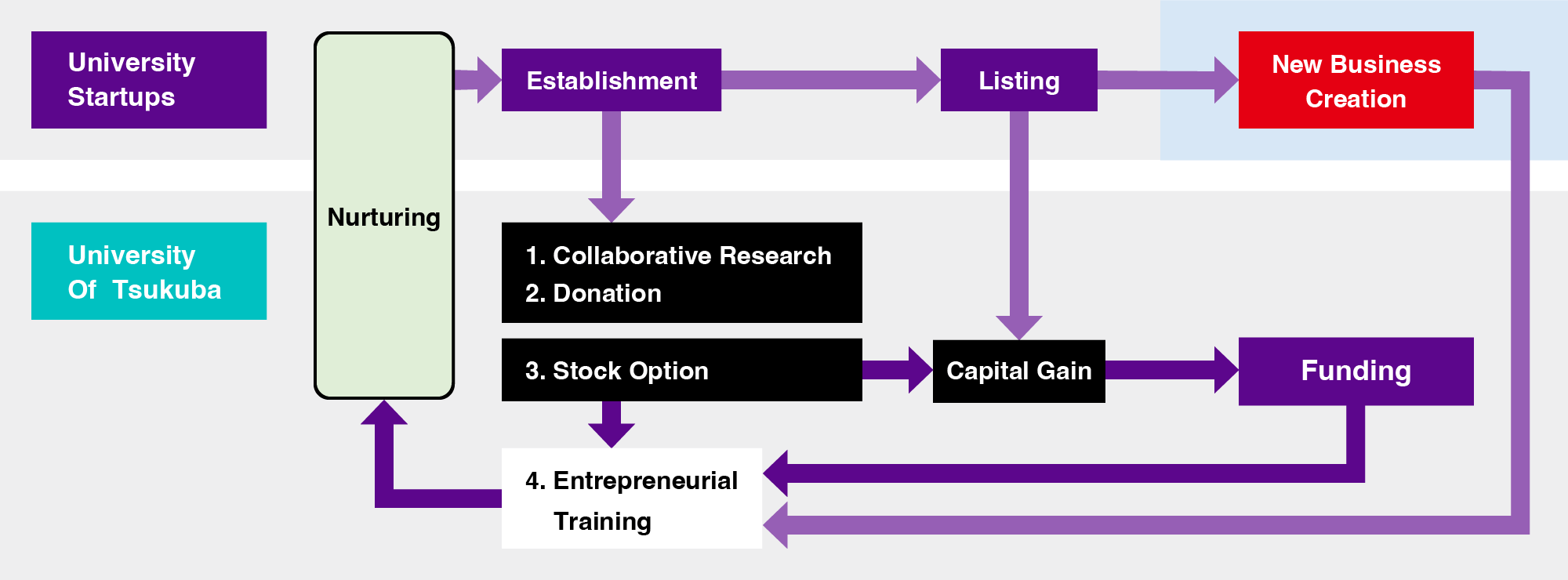 Ecosystem of University Based Start-ups｜OISO